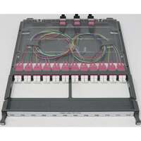 Excel Enbeam High Density 12 Port 24 Fibre OS2 LC-MTP Cassette Loaded